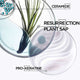 Kérastase Résistance Strengthening Anti-Breakage Routine – styrkjandi sett gegn sliti -15%