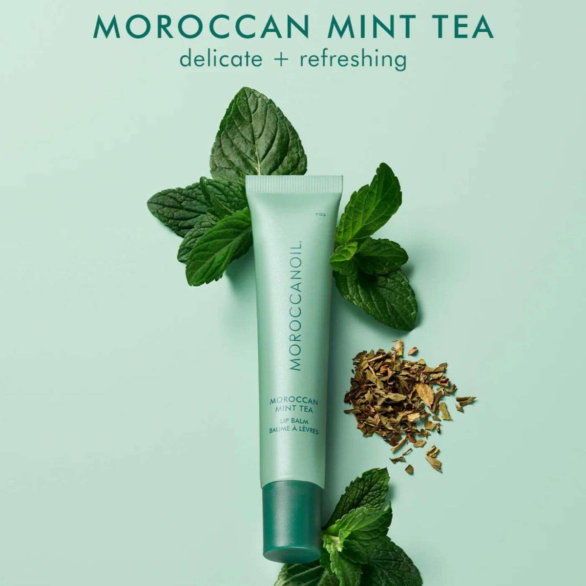 Moroccanoil Mint Tea Argan Butter Lip Balm 15g